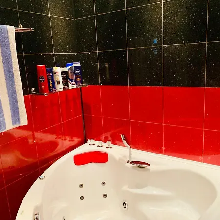 Red Nest Homestay * Κλουζ-Ναπόκα