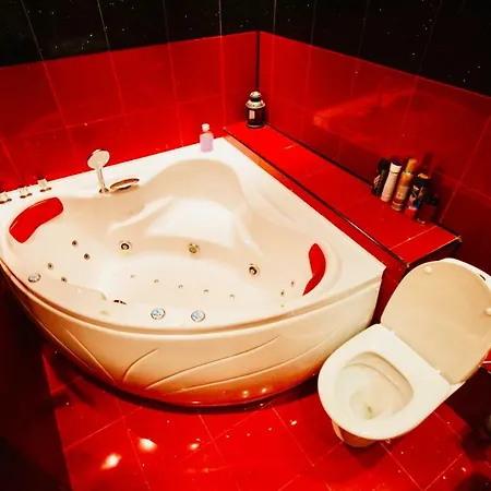 Red Nest Homestay * Κλουζ-Ναπόκα